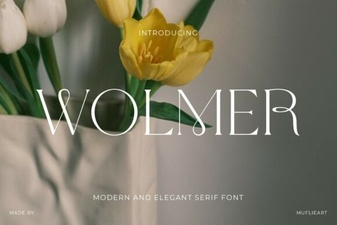 Wolmer Font: a Modern Geometric Typeface